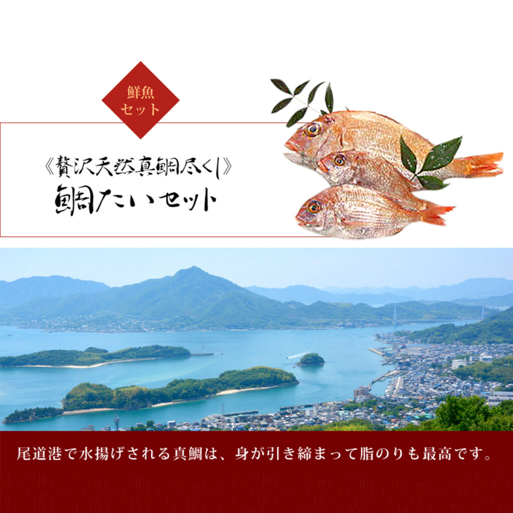 【冷蔵】鯛たいセット - SETOnagi