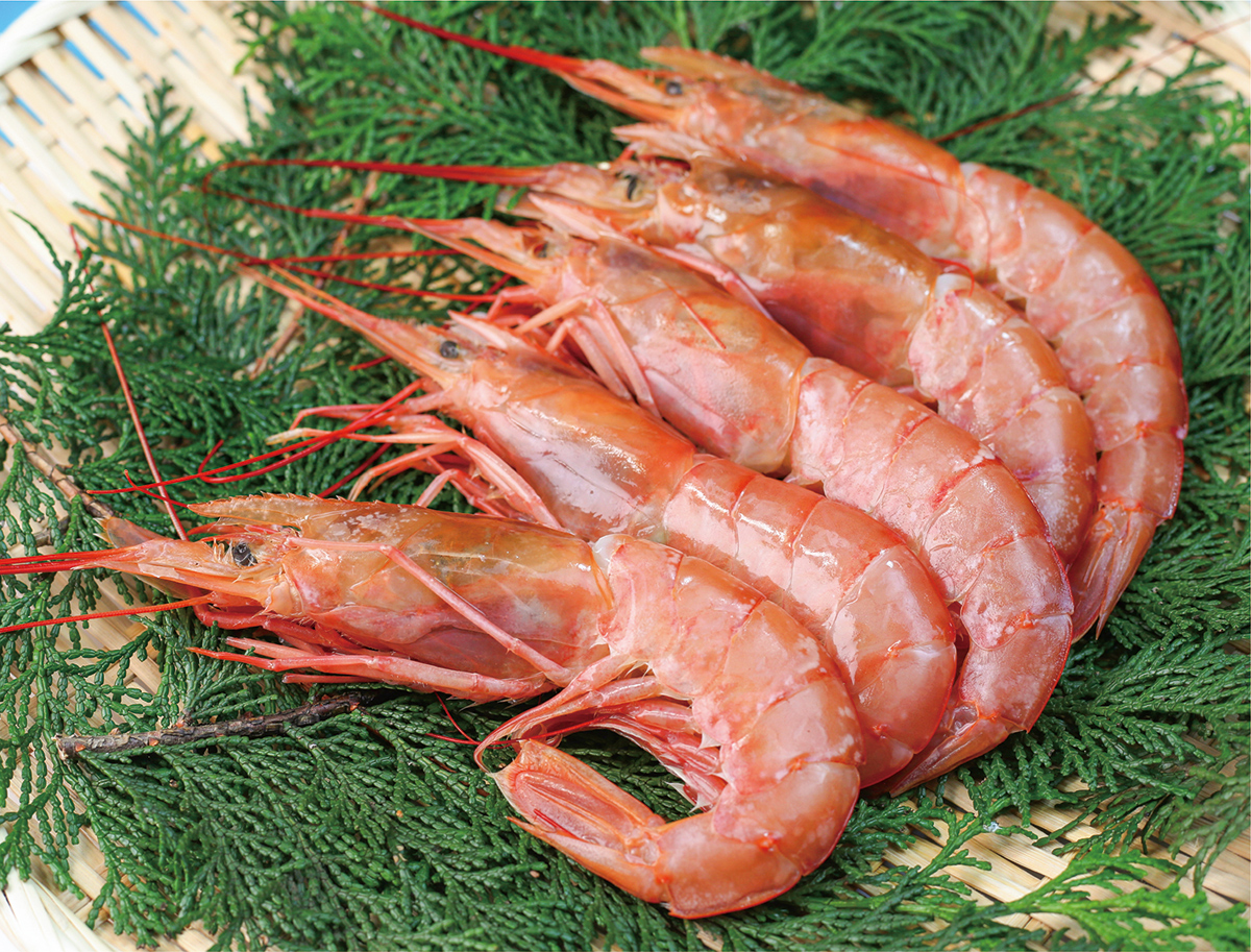 赤エビ（尾付むき）