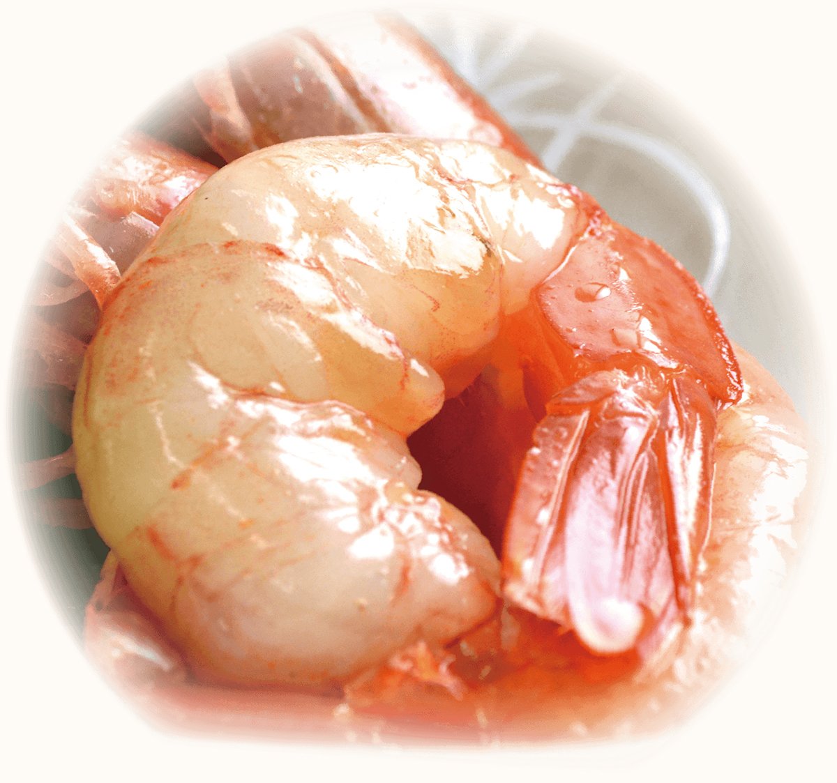 殻むき＆背ワタ除去済み