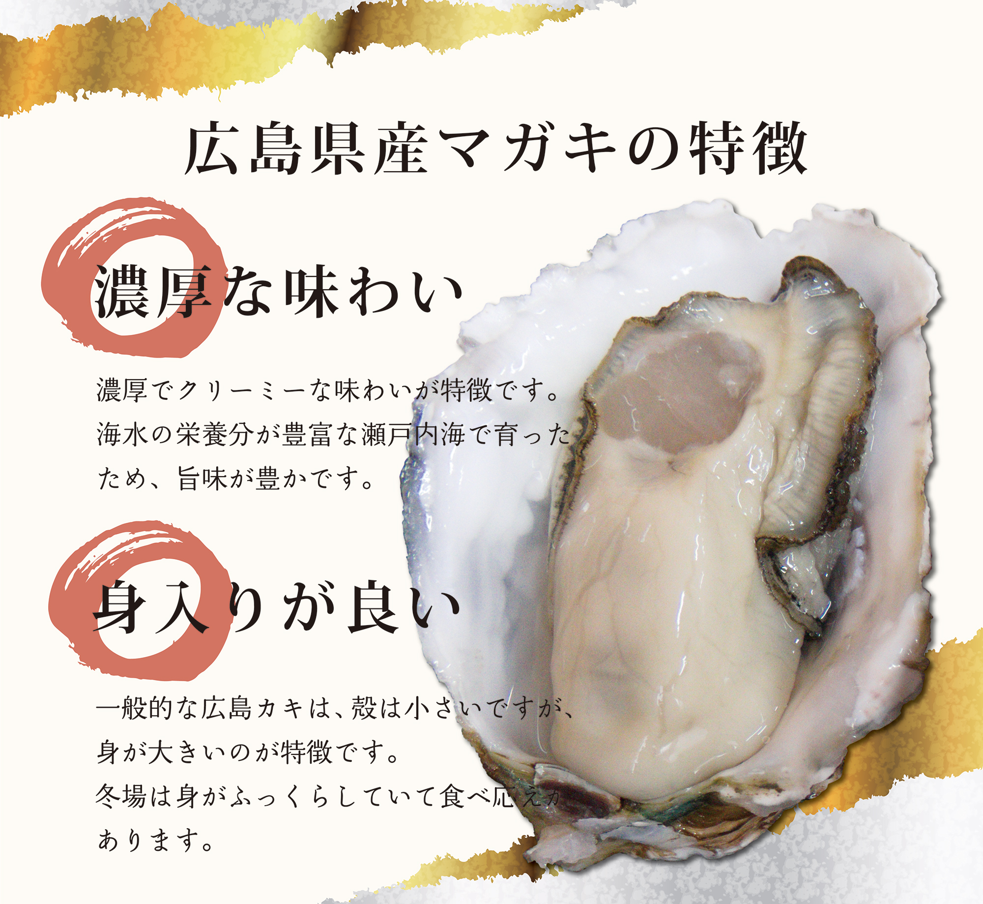 広島県産マガキの特徴