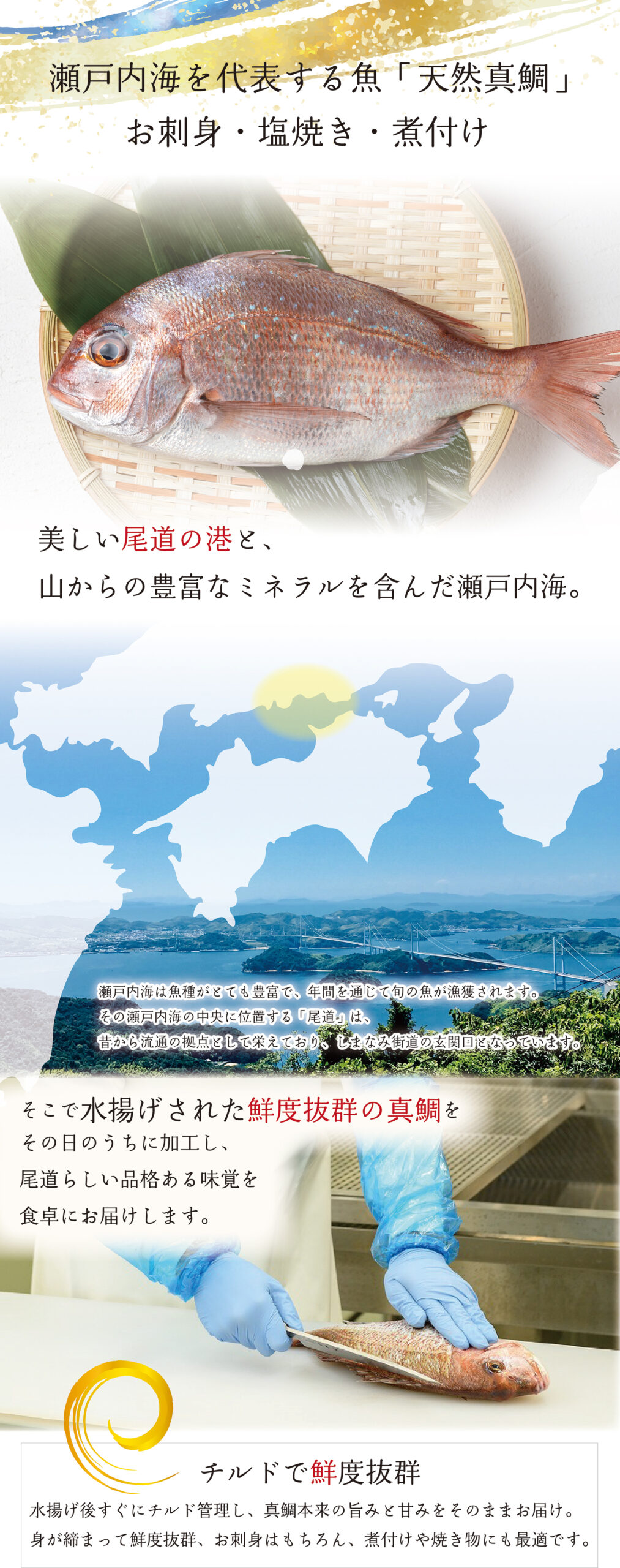瀬戸内海を代表する魚「天然真鯛」