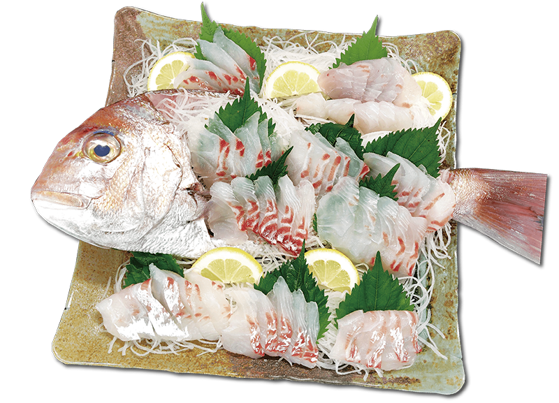 天然鯛　刺身姿盛り