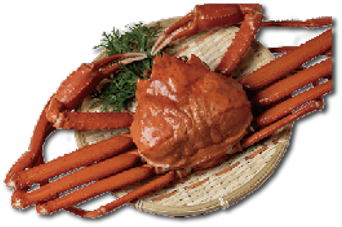 お正月準備おすすめ